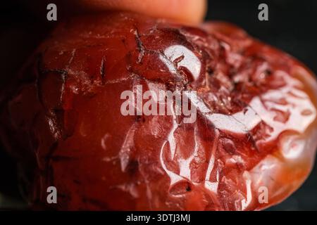 Nahaufnahme einer einzelnen faltigen roten Datums-/Jujube-Frucht mit glänzender Oberfläche und strukturierter Haut, dunkler Hintergrund Stockfoto