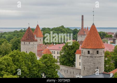Blick aus der Vogelperspektive auf Tallinns mittelalterliche Stadtmauern und Türme in Estland, mit mehreren runden Steintürmen mit charakteristischen konischen Dächern mit roten Fliesen Stockfoto