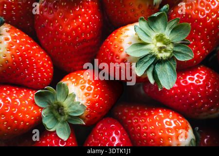 Nahaufnahme frischer, reifer roter Erdbeeren, die ihre lebendige Farbe, natürliche Textur und saftiges Aussehen hervorheben Stockfoto