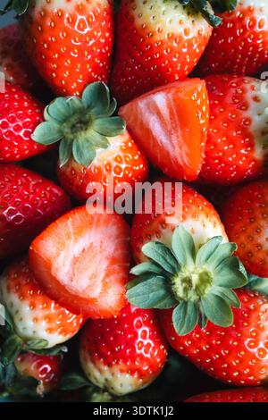 Nahaufnahme frischer, reifer roter Erdbeeren, die ihre lebendige Farbe, natürliche Textur und saftiges Aussehen hervorheben Stockfoto