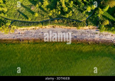 Eine von oben nach unten aus der Luft fängt die lebendige Küstenlandschaft in Vierow, Deutschland, ein. Tiefgrünes Wasser trifft auf einen schmalen, felsigen Kiesstrand, der trassiert Stockfoto