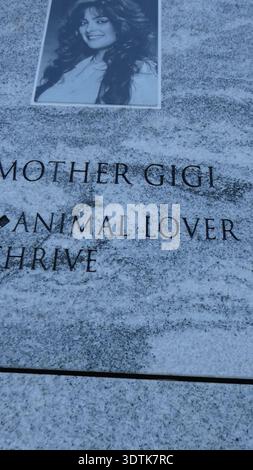 Los Angeles, Kalifornien, USA 21. Februar 2026 Addams Family TV Show Mittwoch Schauspielerin Lisa Loring Grave auf dem Hollywood Forever Cemetery am 21. Februar 2026 in Los Angeles, Kalifornien, USA. Foto: Barry King/Alamy Stock Photo Stockfoto