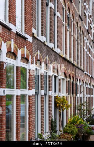 Traditionelle holländische Stadthäuser mit Ziegelfassaden und weißen Fensterrahmen säumen eine Stadtstraße Stockfoto
