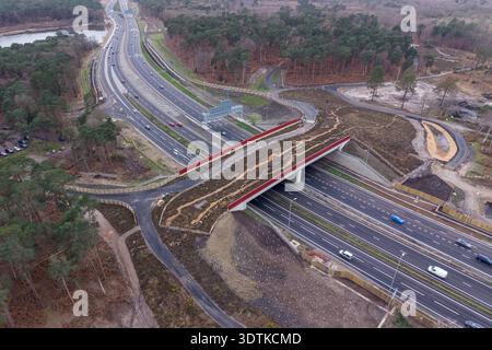 Luftaufnahme der neuen Cockcrow Green Bridge über die A3 in der Nähe der Anschlussstelle 10 M25/A3 Wisley, Surrey, Großbritannien. (Feb. 2026) Stockfoto