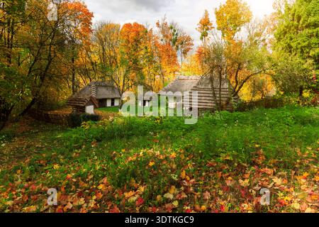 Charmante rustikale Cottages mit Strohdächern sind von Bäumen umgeben, die leuchtende Herbstfarben und gefallene Blätter auf dem Boden zeigen Stockfoto