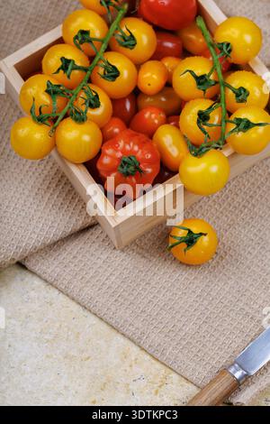 Frische Bio-Tomaten zum veganen Kochen Stockfoto