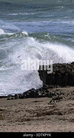 Vertikale Aufnahme: Küstenwellen, die im Blowing Rocks Preserve in Florida gegen Kalkstein stürzen Stockfoto