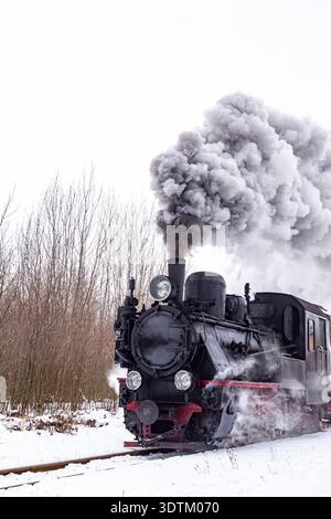 Vertikales Foto einer alten Dampflokomotive, die Rauch abgibt, während sie im Winter über ein verschneite Feld mit Büschen und Bäumen im Hintergrund fährt Stockfoto
