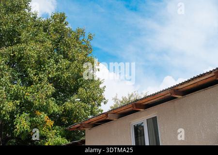 Eine ruhige, flache Aufnahme eines einfachen ländlichen Gebäudes mit einem gewellten Metalldach und einem großen grünen Baum vor einem hellblauen Himmel mit weichem weiß Stockfoto