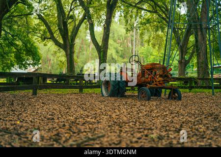 Profil eines alten rostigen orangen Traktors, der auf trockenem Herbstlaub in einem grünen Park in der Nähe eines hohen Metallturms in den USA, Florida, steht. Stockfoto