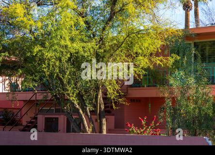 Wunderschönes Haus mit einem kleinen Garten in der Innenstadt von Phoenix, Arizona Stockfoto