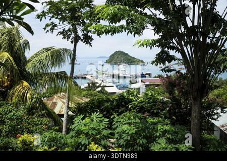 Blick auf den Hafen von Labuan Bajo durch tropische Vegetation, Flores, Indonesien Stockfoto