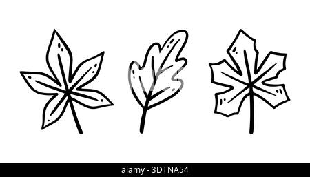 Handgezeichnetes Ahornblatt, Eichenblatt Set. Vektorillustration im Doodle-Stil. Isoliert auf weiß. Verlässt die Sammlung Stock Vektor