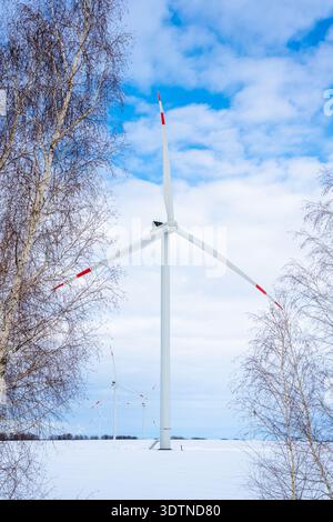 Windkraftanlage in einer verschneiten Landschaft mit Nebel am frühen Wintermorgen. Alternative Energiequellen bei extremen Witterungsbedingungen. Malerischer Winter, Kap Stockfoto