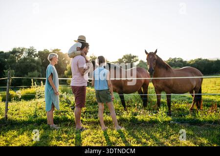 Familie beobachtet Pferde auf dem Land bei Sonnenuntergang. Stockfoto