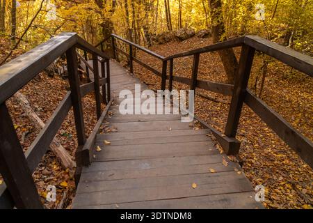Herbst, Treppe, Wald. Holztreppe, die durch einen lebhaften Herbstwald mit goldenen Blättern hinabführt, friedlicher Naturpfad. Stockfoto