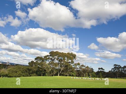 Winterlandschaft eines grünen Golfplatzes in der Nähe der Adelaide Stockfoto