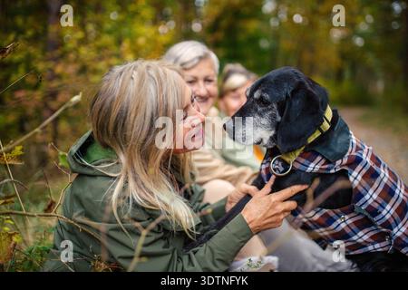 Aktive Seniorinnen beim Wandern mit dem alten Hund in der Natur. Aktive Seniorinnen beim Wandern mit dem alten Hund in herbstlicher Natur. Modell freigegeben Stockfoto