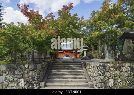 Eingang mit torri-Tor umgeben von herbstfarbenen Ahornbäumen am Tempel Hachiman Daibosatsu in Arashiyama, Kyoto, Japan Stockfoto