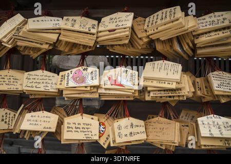 Fukuoka, Japan – 13. September 2017: Gebetstafeln aus Holz mit japanischen Schriftzeichen und Bildern im Kushida-Schrein in Japan Stockfoto