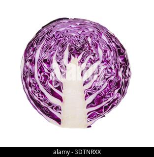 Frischer Rotkohl isoliert auf weißem Hintergrund. Halbteil Draufsicht Stockfoto