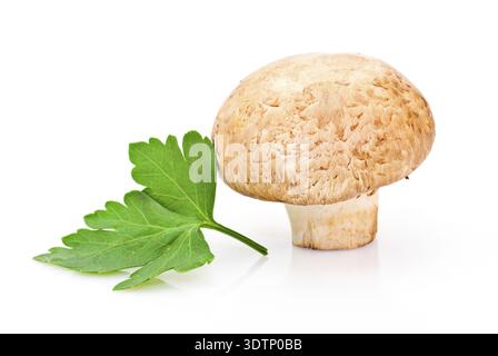 Champignon und grünes Petersilienblatt auf weißem Hintergrund Stockfoto