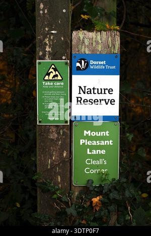 Mount Pleasant Lane, Kingcombe Meadows National Nature Reserve, Dorset, Großbritannien Stockfoto