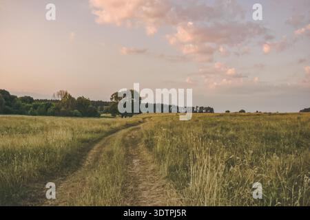 Feldweg durch ein Sommerfeld bei Sonnenuntergang, ländliche Landschaft. Stockfoto