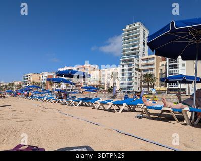 Lered de Mar Spanien 15. September 2024 Reihe blauer Liegestühle und Sonnenschirme unter klarem Himmel, leere Morning Resort Scene mit Highrise Hotels in Backgrou Stockfoto