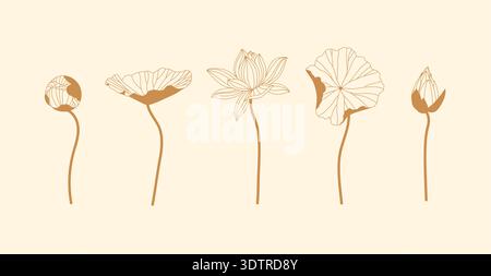 Lily Silhouetten verschiedene Formen setzen Zeichnung im Grafikstil auf beigefarbenen Hintergrund Stock Vektor