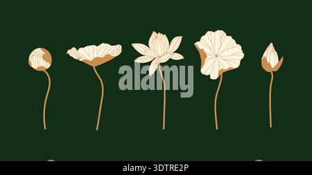 Lily Silhouetten verschiedene Formen setzen Zeichnung im grafischen Stil auf grünem Hintergrund Stock Vektor