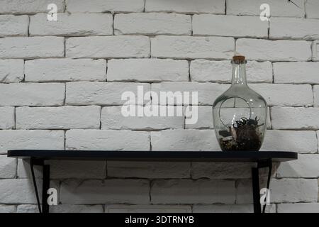 Ästhetische Präsentation eines Glasgefäßes mit einzigartigen natürlichen Elementen auf einem minimalistischen schwarzen Regal vor einer strukturierten weißen Ziegelwand Stockfoto