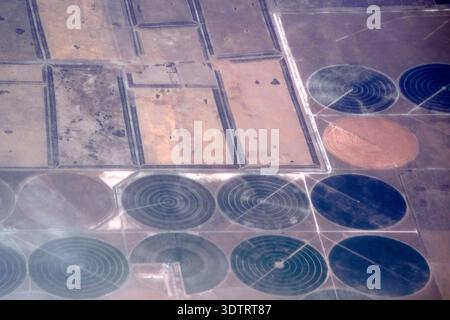 Viele Landwirtschaft kreisförmige Bewässerungskreise aus der Vogelperspektive in der Halbinsel valdes Panorama vom Flugzeugfenster Stockfoto