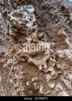 Komplexe natürliche Texturen aus einer Felsformation mit einzigartigen geologischen Merkmalen und Erdtönen Stockfoto