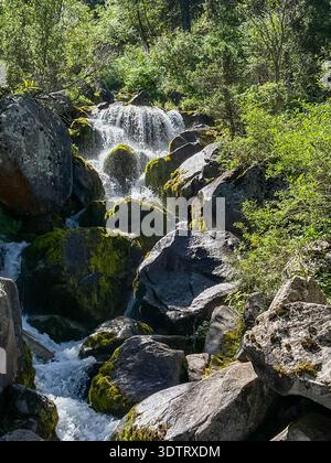 Ruhiger Wasserfall, der über Moosfelsen in einer üppigen grünen Landschaft fließt Stockfoto
