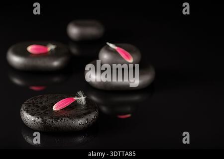 Zen-Steine für heiße Massage mit rosa Blütenblättern auf Schwarz. Spa- und Wellness-Hintergrund mit Kopierraum Stockfoto