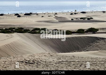 Sanddünen dunas de maspalomas gran canaria, kanarische Inseln, spanien Stockfoto