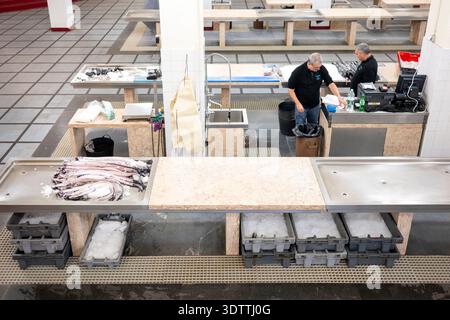 Nahaufnahme eines schwarzen Degenfisches (espada preta) in einem Fischstand im Mercado dos Lavradores in der Altstadt von Funchal, Madeira, Portug Stockfoto