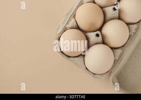 Braune Eier im Karton, Draufsicht mit Kopierraum Stockfoto