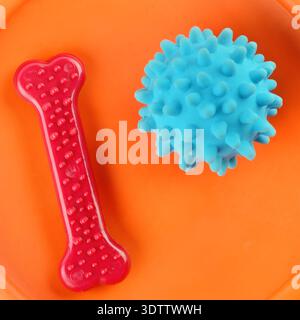 Spielzeug für Hunde. Ein Knochen und ein Ball auf farbigem Hintergrund. Stockfoto