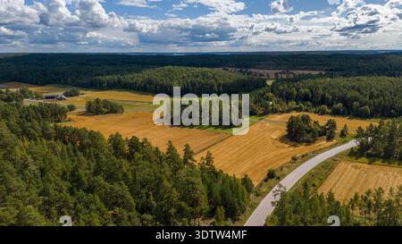 Blick aus der Vogelperspektive auf ein goldenes Getreidefeld, umgeben von üppigem grünen Wald, Kustavi, Finnland Stockfoto