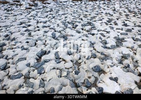Eine Nahaufnahme von zahlreichen grauen Steinen, die teilweise mit hellem Sand bedeckt sind, möglicherweise an einem Strand oder an der Küste. Der Sand erscheint nass oder Stockfoto