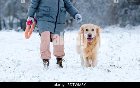 Besitzermädchen geht mit ihrem Goldenen Retriever-Hund im Winter auf Einem Schneefeld Stockfoto