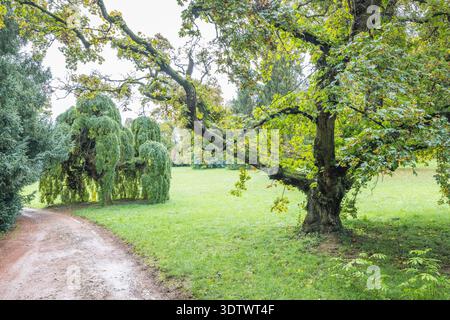 Der Garten am Schloss Buchlovice, Tschechien, Europa. Eine ruhige Landschaft mit üppigem grünem Gras und einer Vielzahl von Bäumen, die die Natur in Szene setzen Stockfoto