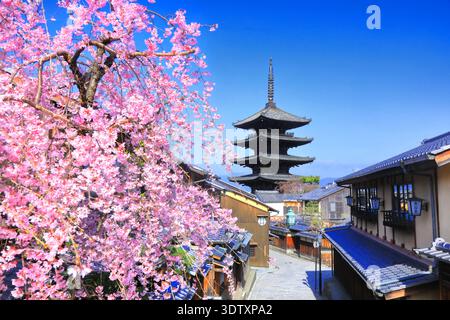 Yasaka Pagode Weinende Kirschblüten Japan Kyoto Stockfoto