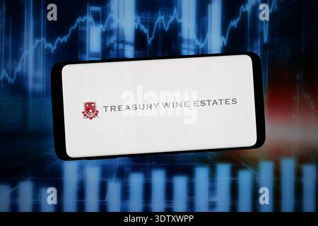 Stuttgart, Deutschland - 13.02.2026: In dieser Fotoabbildung ist das Logo der Firma Treasury Wine Estates Limited auf einem Smartphone zu sehen Stockfoto
