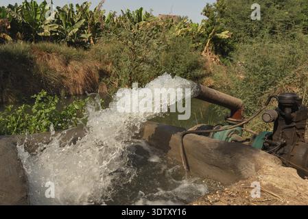 Wasser wird aus dem Nil in Bewässerungskanäle gepumpt, um wasserintensive Bananenfrüchte in Plantagen in Oberägypten zu ernähren Stockfoto