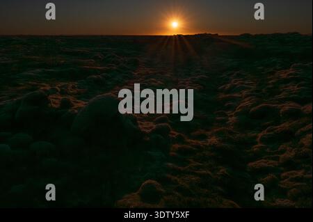 Moosbedecktes Eldhraun Lavafeld in der Abendsonne, Südisland, strukturierte vulkanische Landschaft unter warmem Licht. Stockfoto