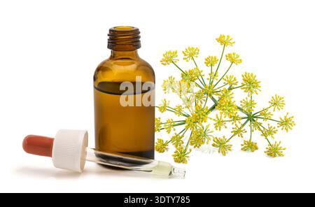 Glasflasche mit Fenchelzweigen und Tropfer, natürliches Kräuterextrakt-Konzept. Aromatherapie, Bio-Hautpflegewirkstoff, alternative Medizin und botan Stockfoto