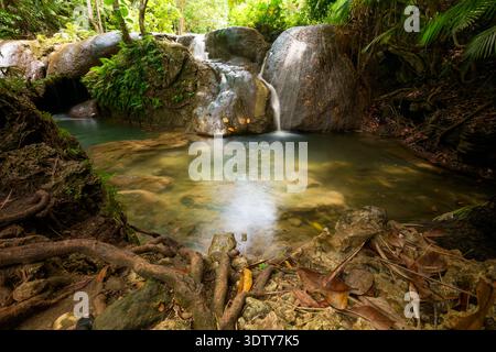 Ein kleiner Wasserfall fließt über runden Felsen in einen flachen Waldpool, der von dichter tropischer Vegetation umgeben ist. Stockfoto